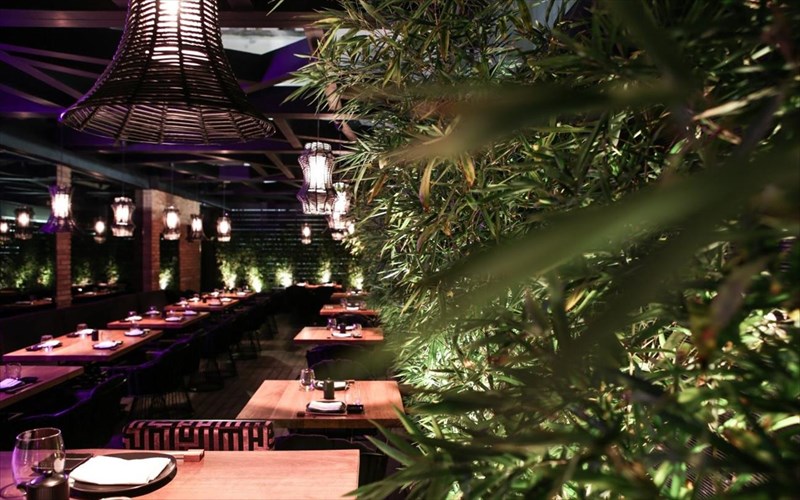 to-k-for-kiku-anoigei-ton-kipo-tou-kai-murizei-anoiksi