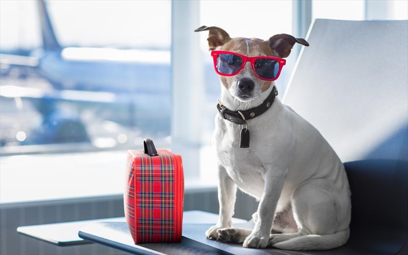 ti-na-min-kanete-an-taksideuete-me-to-katoikidio-sas