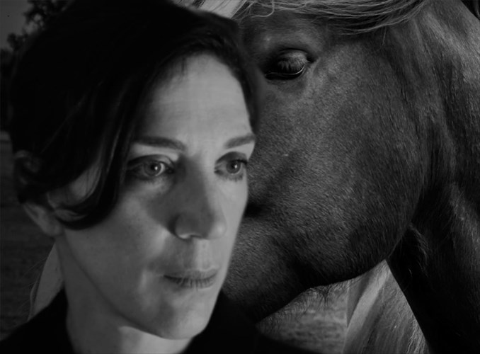 dimitris-kamarotos-kai-amalia-moutousi-afigountai-tin-istoria-tou-ippolutou