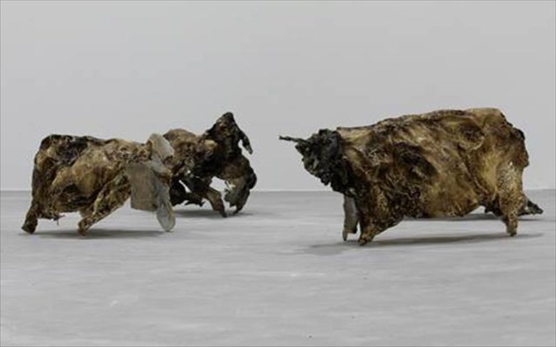 o-thomas-diotis-dia-puros-probaton-stin-gkaleri-7