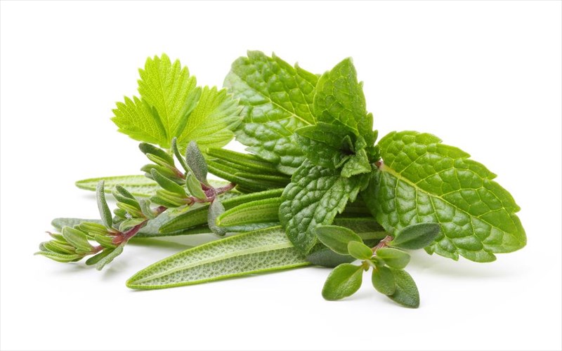 poia-botana-boithoun-sto-adunatisma