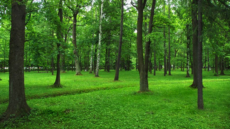 prasini-geitonia-antio-diabiti