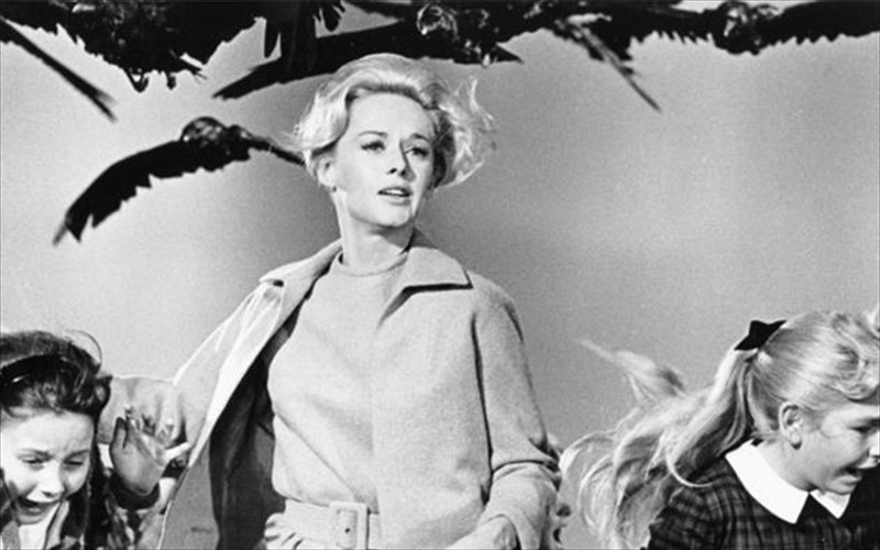 ta-poulia-petoun-sto-kpisn