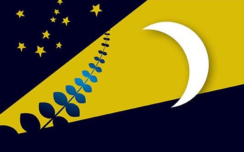 therinos-kinimatografos-ala-gallika