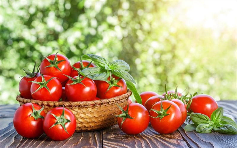 ntomata-i-kalokairini-kai-ola-osa-prepei-na-kseroume-gia-ti-star-tis-sezon-kalokairini-kai-ola-osa-prepei-na-kseroume-gia-ti-star-tis-sezon