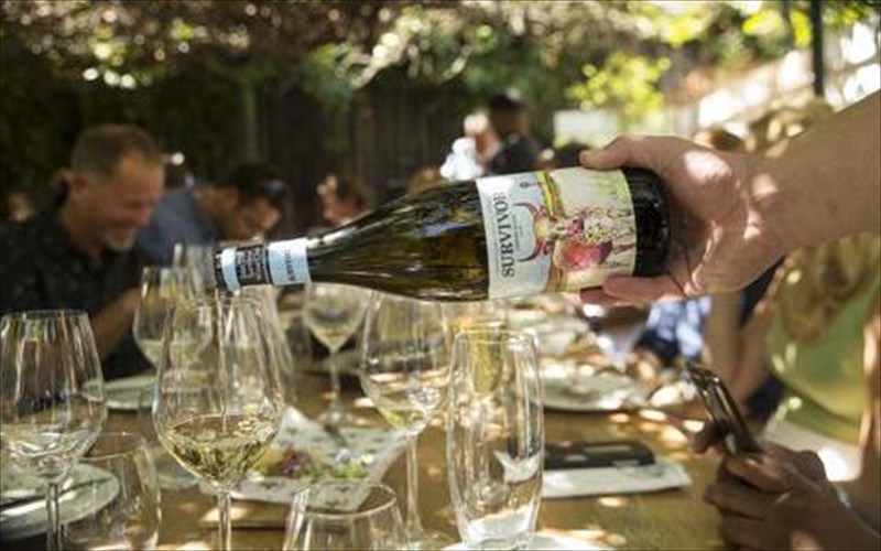 auto-einai-to-krasi-survivor