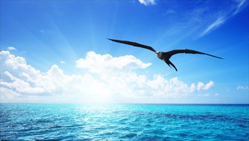 o-antrea-kamilleri-psaxnei-tous-enoxous-stoxoro-tou-glarou