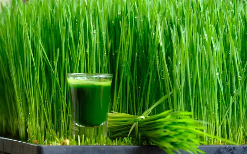 paraksenes-trofes-pou-isos-den-gnorizete-alla-sas-kanoun-kalo