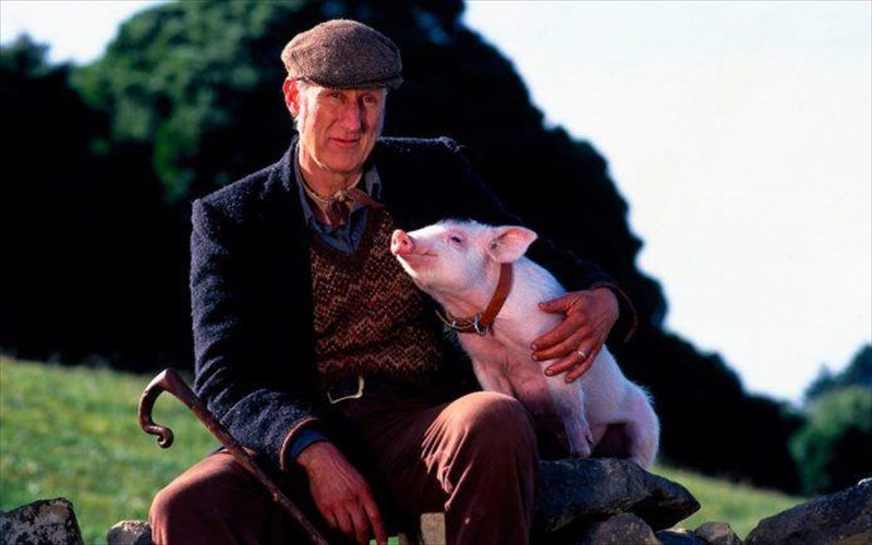 antimetopos-me-ti-fulaki-o-agrotis-xogket-tou-babe-agrotis-xogket-tou-babe