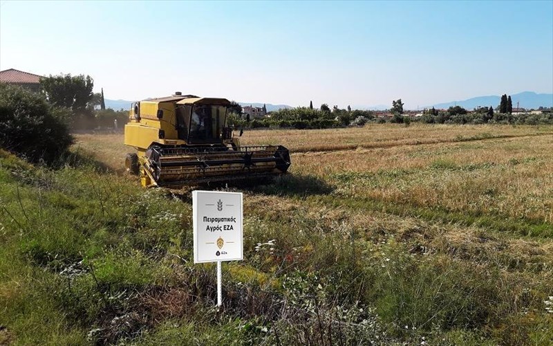 h-eza-dimiourgei-ton-diko-tis-peiramatiko-agro-gia-tis-pio-poiotikes-mpires