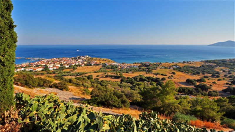 samos-young-artists-festival-kgourzi-i-mousiki-kseperna-ta-politika-oria-kai-desma