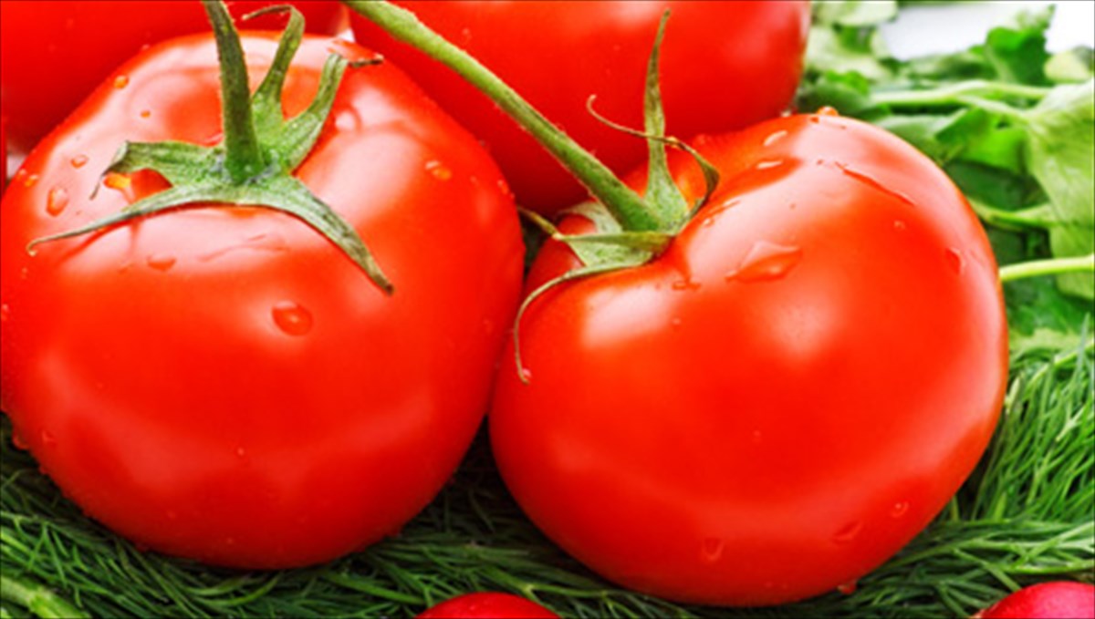 10kai1-logoi-gia-na-agapisete-tis-tomates