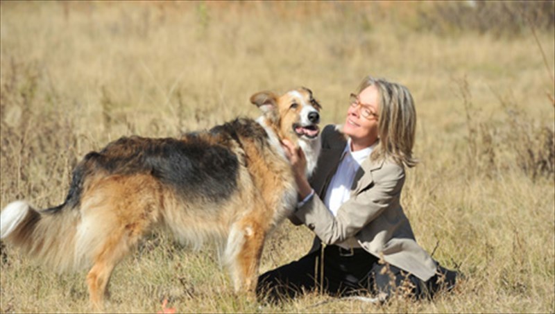 otan-o-skulos-einai-pio-simantikos-apo-ton-suzugo-skulos-einai-pio-simantikos-apo-ton-suzugo