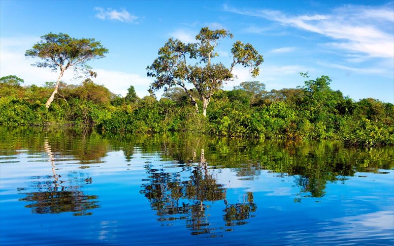 auta-ta-kserate-gia-ton-amazonio