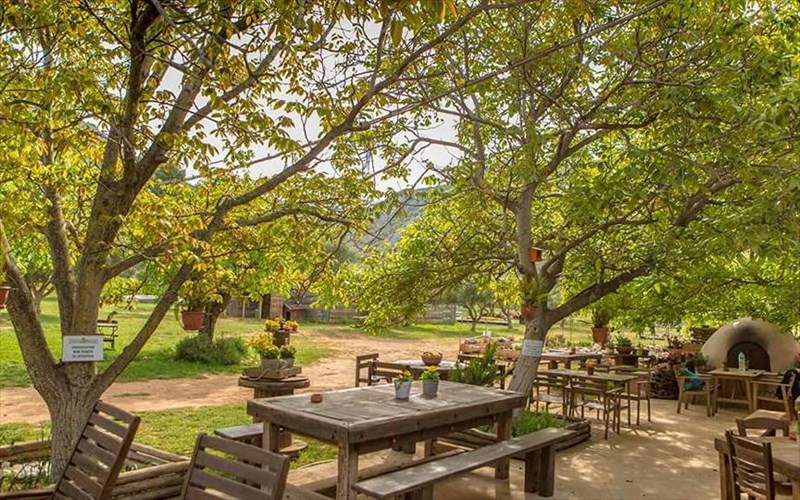 pame-gia-fagito-se-tesseris-farmes-tis-attikis