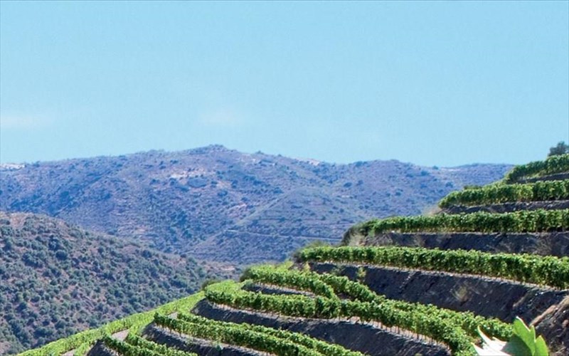 mathainoume-ta-paraksena-krasia-tou-kosmou-ston-iano