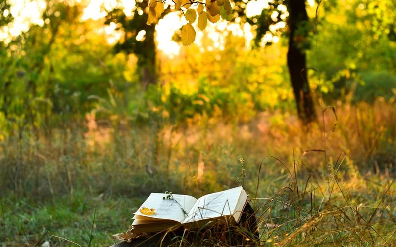 i-poiisi-tairiazei-ston-kipo-tou-megarou