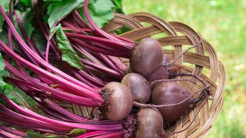 o-xumos-ton-pantzarion-proagei-tin-ugeia-tou-egkefalou