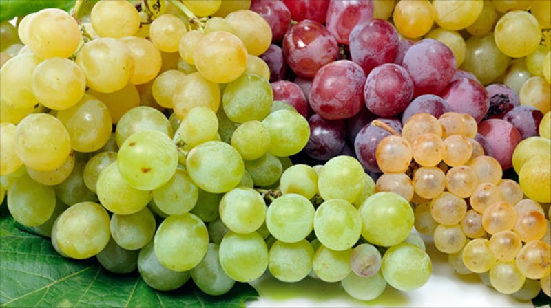 moustaleuria-mia-fthinoporini-threptiki-lixoudia