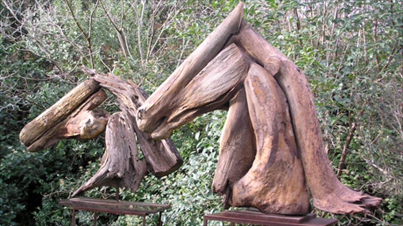 silouetes-alogon-kai-thorakes-sti-gkaleri-zoumpoulaki