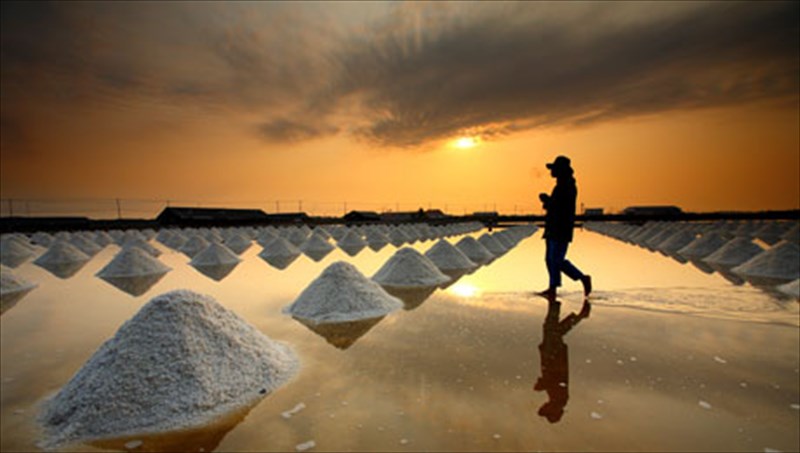 logotexniko-egklima-sti-skia-tis-skurou