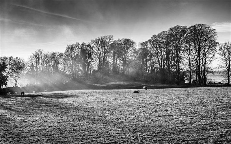 landscapes-fotografies-topiou-ap-olo-ton-kosmo-stin-blank-wall-gallery