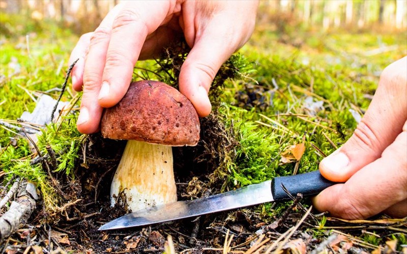 i-therapeia-tis-katathlipsis-isos-krubetai-se-ena-manitari