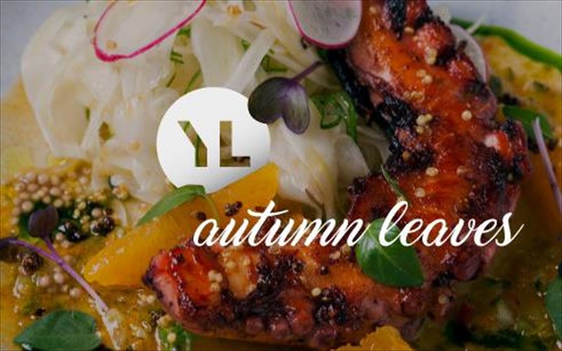 to-fthinoporo-einai-pio-geustiko-apo-pote-sto-psomi-kai-alati-tou-gianni-loukakou-alati-tou-gianni-loukakou