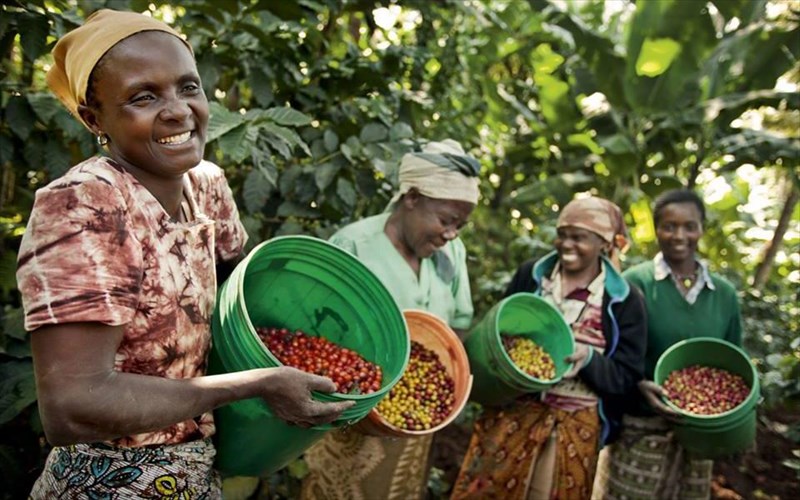 to-dikaio-emporio-kerdizei-edafos-stis-pagkosmies-alusides-trofimon