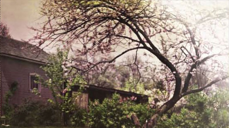 rogmes-sti-siopi-apo-ti-zeta-kountouri