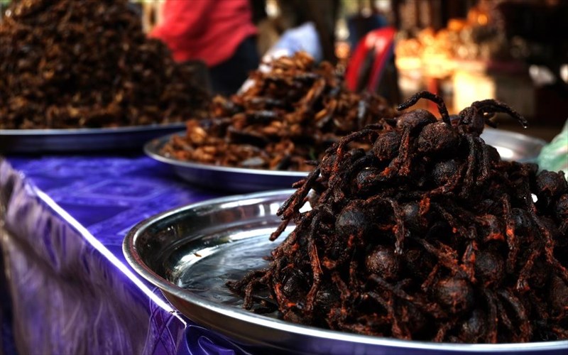 pos-psinoun-kai-trone-tarantoules-stin-asia