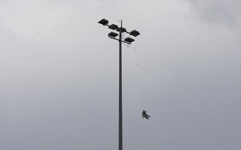 the-sense-of-an-ending-paratasi-tis-ekthesis-stin-can-gallery