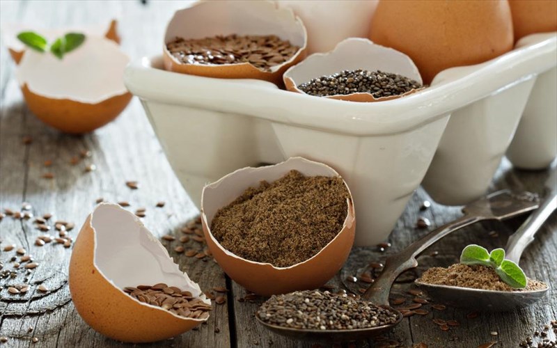 poies-futikes-trofes-mporoun-na-antikatastisoun-zoikes