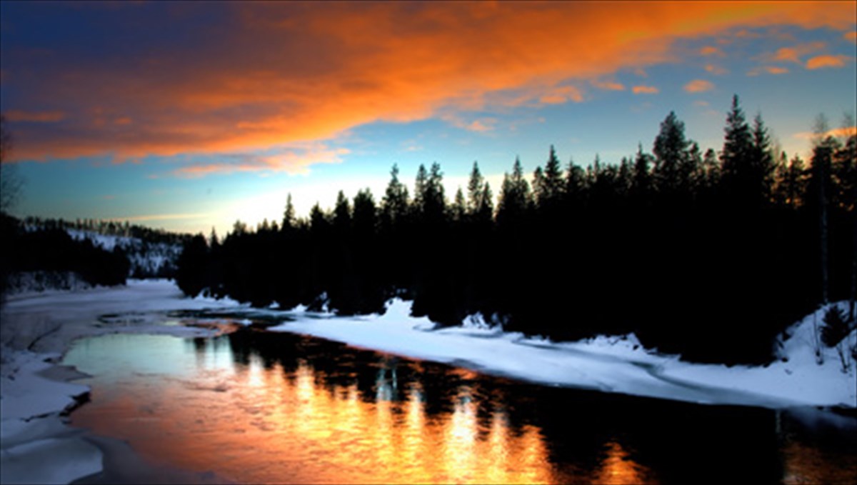 skandinabiko-montelo-ena-oikonomiko-thauma