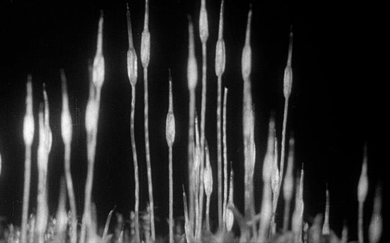 dekembris-me-exile-room-kai-fusi-proto-plano