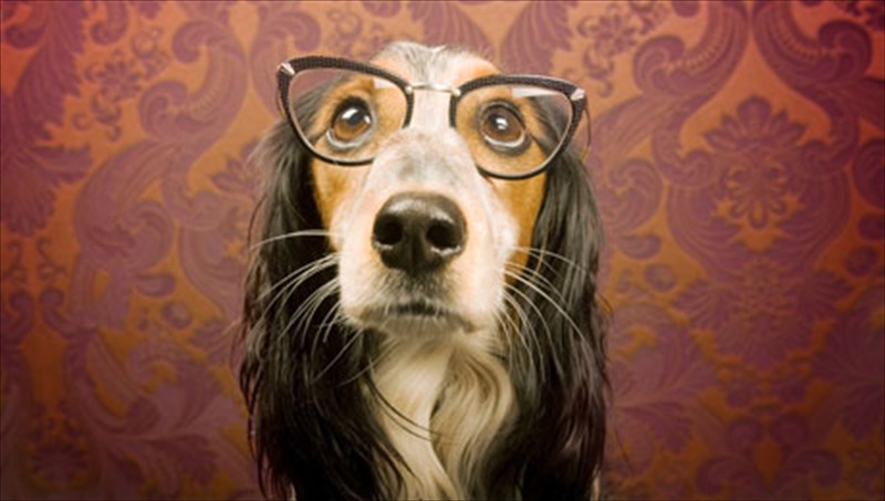 6-mathimata-sxeseon-pou-mas-didaskoun-ta-zoa-mathimata-sxeseon-pou-mas-didaskoun-ta-zoa