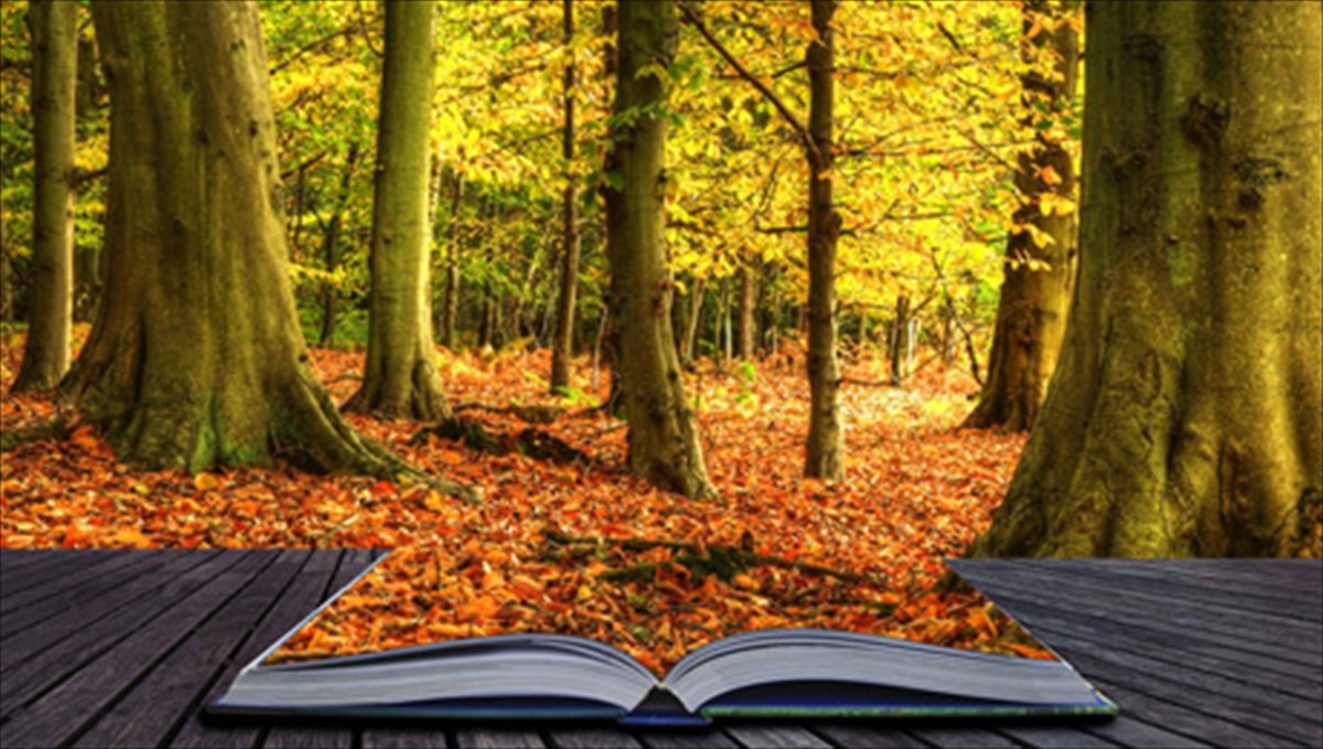 ypopsifiotites-gia-to-the-athens-prize-for-literature