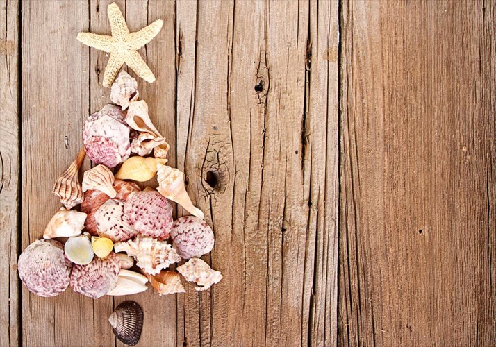 deka-idees-gia-prototupa-xristougenniatika-dentra