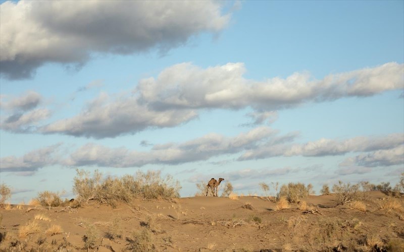 fotografiki-bolta-sto-tourkmenistan
