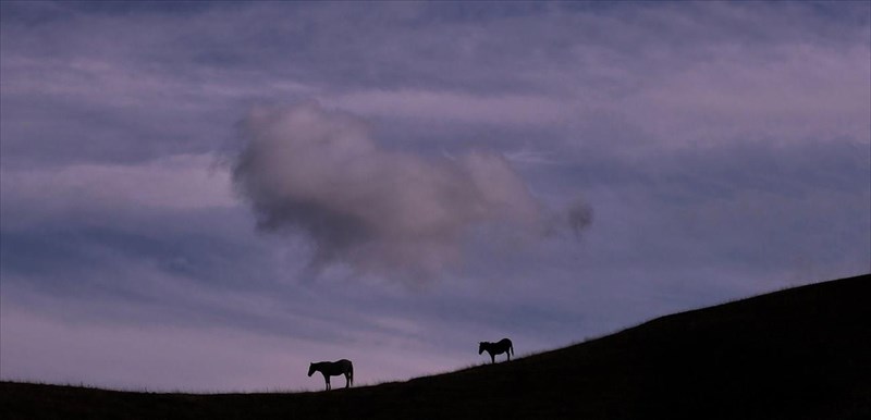 i-fotografiki-omada-diafragma26-parousiazei-ton-fotografo-andrea-kamoutsi