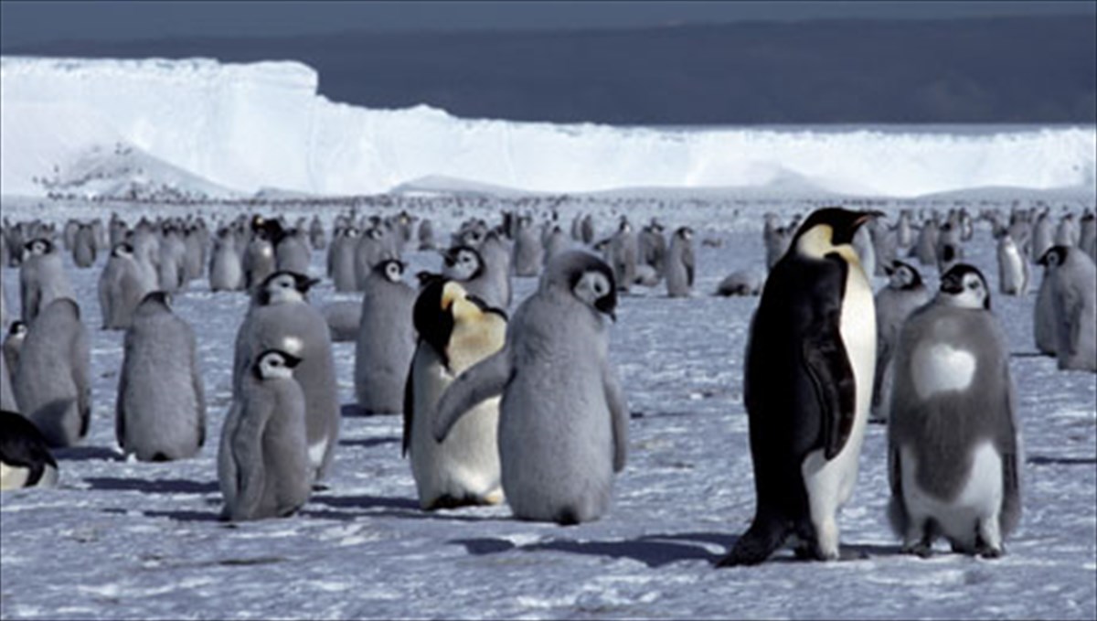 i-pagomeni-antarktiki-kanei-bolta-stin-athina