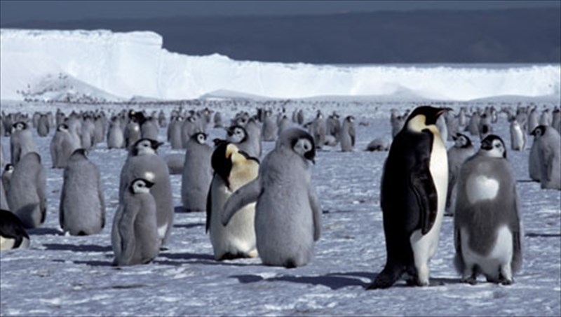 i-pagomeni-antarktiki-kanei-bolta-stin-athina