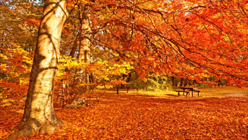 5-perierges-allages-pou-mas-fernei-to-fthinoporo-perierges-allages-pou-mas-fernei-to-fthinoporo