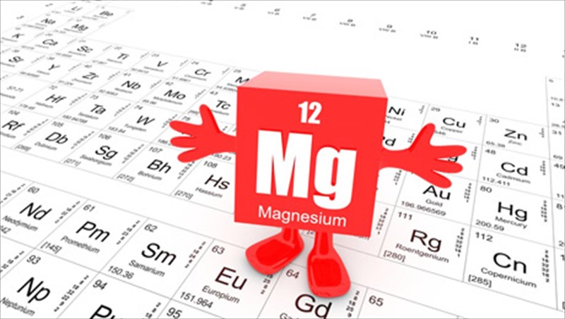 oi-kaluteres-diatrofikes-piges-tou-magnisiou