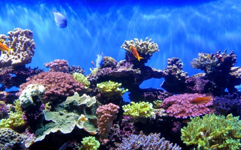 pos-tha-moiazei-mia-ekthesi-gia-to-skliro-prosopo-tis-modas