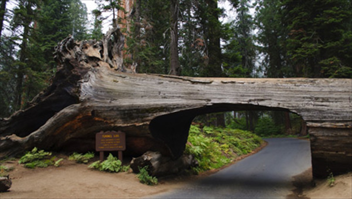 merikes-apo-tis-pio-asunithistes-siragges-tou-kosmou