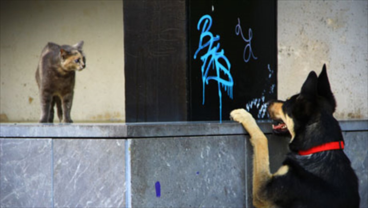 mia-fotografiki-bolta-meorama