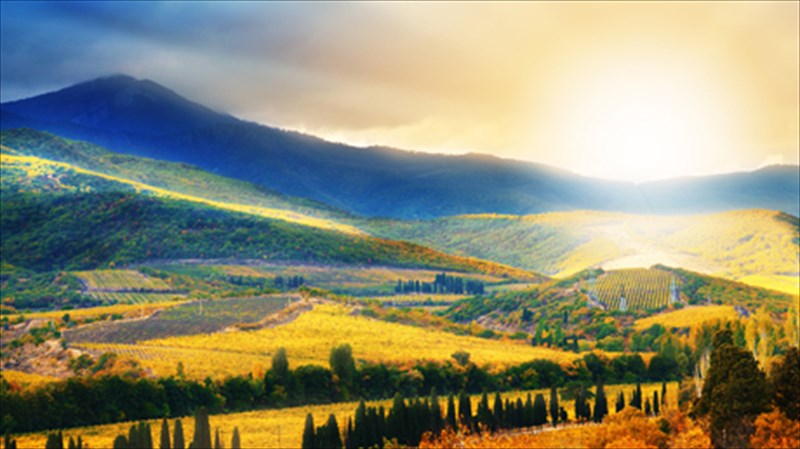 gnoriste-tis-6-anerxomenes-oinoparagogous-perioxes-anerxomenes-oinoparagogous-perioxes