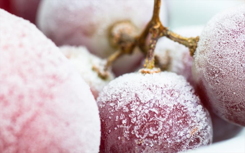 ti-einai-to-ice-wine