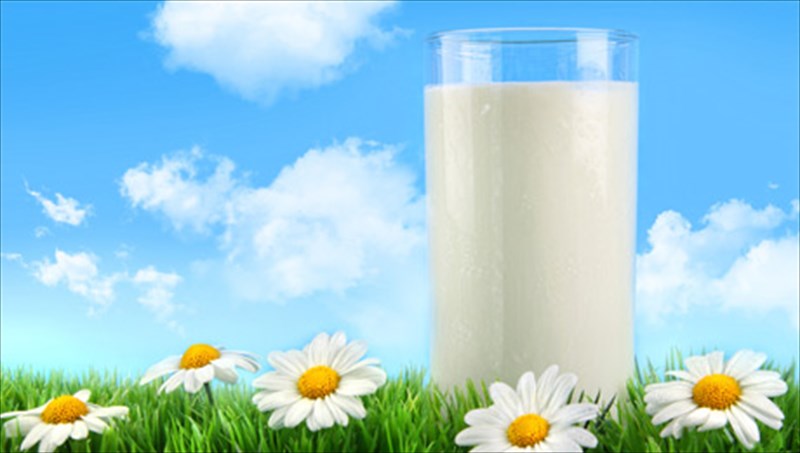 oli-i-alitheia-gia-8-koinous-muthous-sxetika-me-to-gala-koinous-muthous-sxetika-me-to-gala